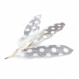 Перо с рисунком Горох размер 18см