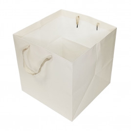 Пакет ЛЮКС однотонный размер 30*30*30см