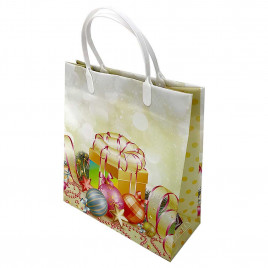 Пакет сумка размер 23*26см Подарок