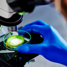 Перчатки нитриловые GOGRIP LONG особопрочные удлиненные голубые 25 пар M, L, XL