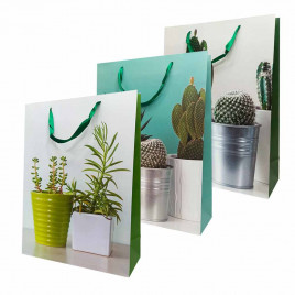 Пакет ЛЮКС Суккуленты размер 31*42*12см
