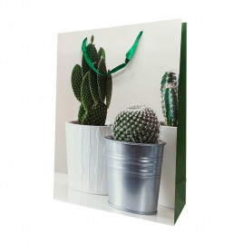 Пакет ЛЮКС Суккуленты размер 31*42*12см