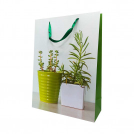 Пакет ЛЮКС Суккуленты размер 31*42*12см