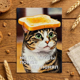 Мини-открытка Не то, чтобы понял 7*10см