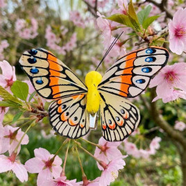 Бабочка на прищепке желтая размер 8см