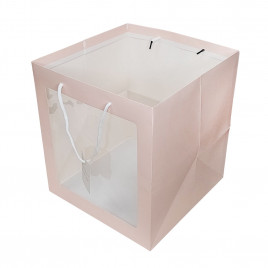 Пакет ЛЮКС с окном однотонный размер 31*31*31см