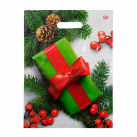 Пакет вырубной ПВД Коробка с подарком 31*40см 60 мкм 50шт