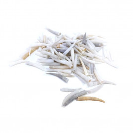 Ракушки натуральные светло-серые в упаковке